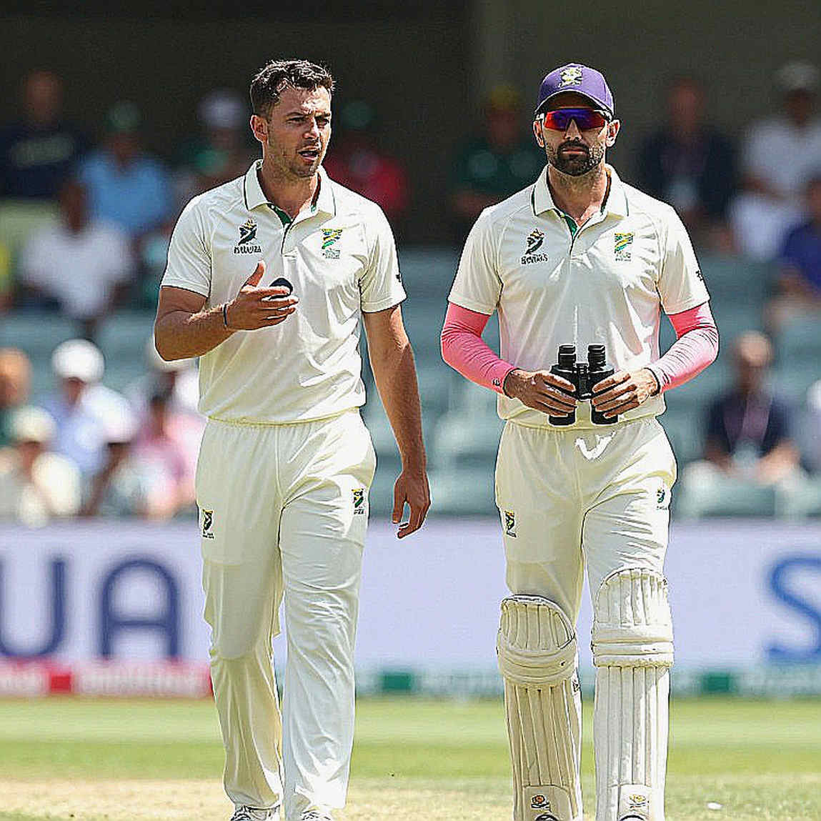 Empty Input, Zero Information Points: Where the Cricket Analysis Pipeline Stalled Empty Input, Zero Information Points: Where the Cricket Analysis Pipeline Stalled