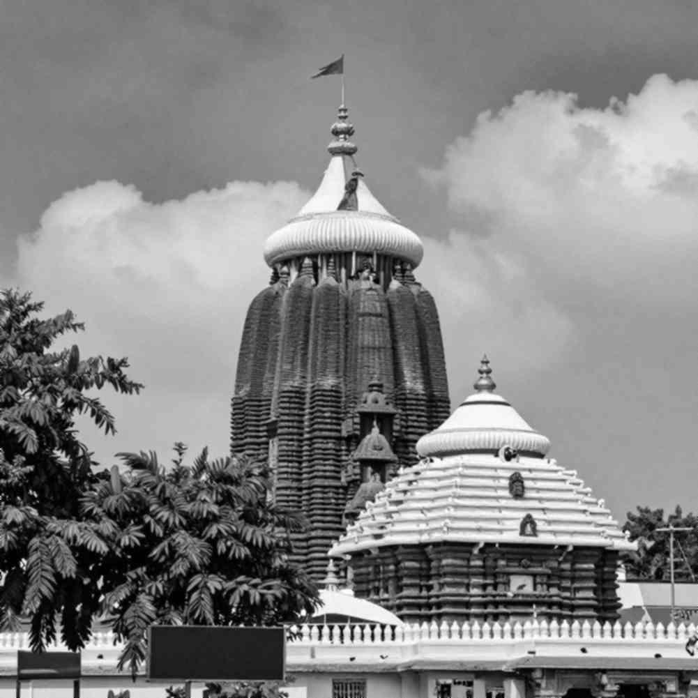 খালি ফাইলের দেশ: নয়টি কলাম, শূন্য সারি, আর বাংলাদেশের ভলিবল আর্কাইভ
